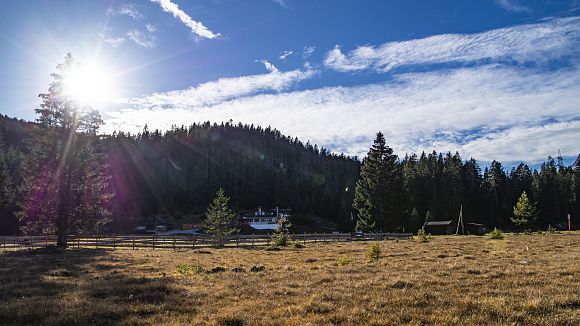 Wildmoosalm im Herbst - Seefeld (1)